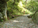 Ogamiyama Shrine