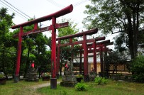 Miyako Inari Shrine